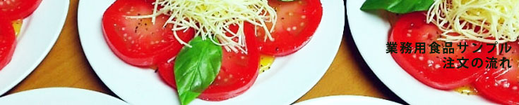 トマトサラダの食品サンプル画像。トマトのみずみずしさと、ドレッシングやチーズもリアルに再現しています。