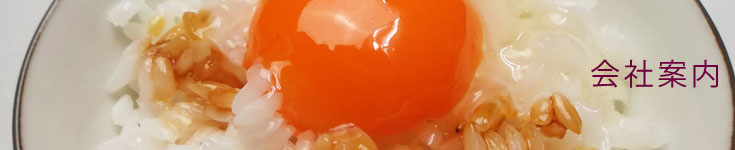 卵かけごはんの食品サンプル画像。黄身のつや、白身のとろみや醤油のかかり具合をリアルに再現しています。