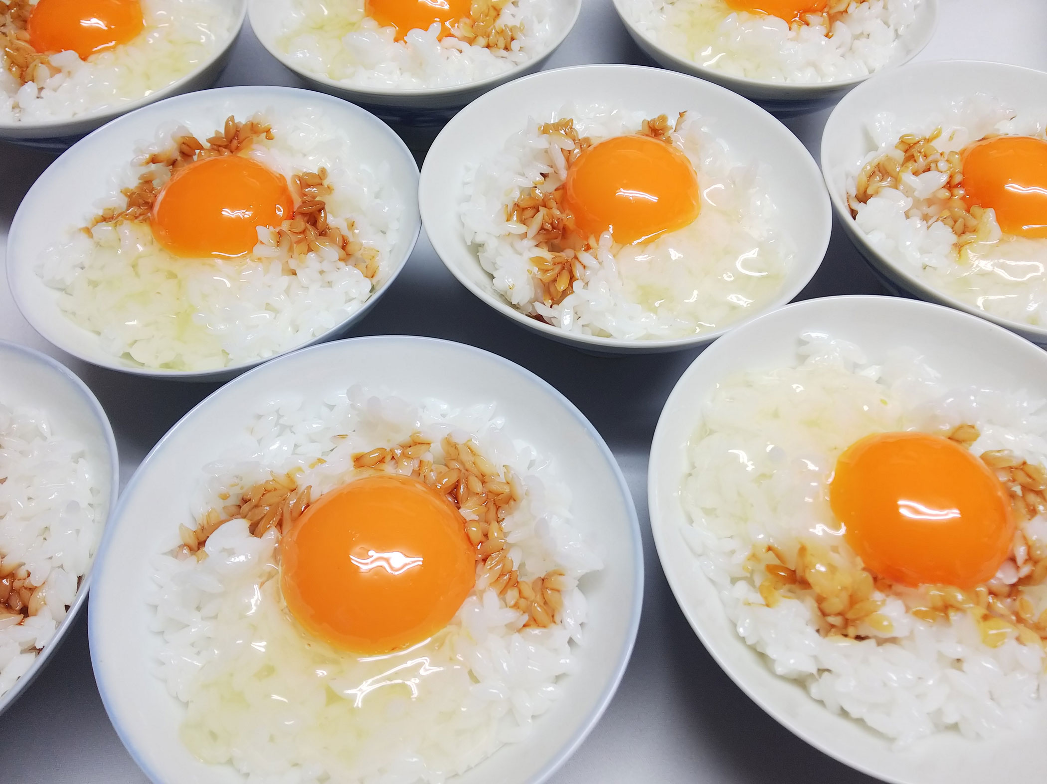 食品サンプル―卵かけごはん